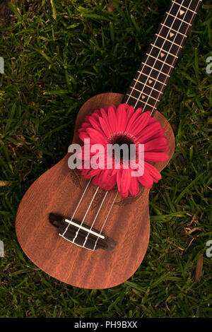 Bellissimo piccolo hawaiian soprano ukulele decorate con freschi gerbera fiori ed erba backgroud, foto fatte in condizioni di luce diurna con nessuna delle luci artificiali Foto Stock