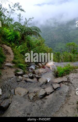 Cascata in LA ZUNGA - Ecuador confine -San Ignacio- Dipartimento di Cajamarca .PERÙ Foto Stock