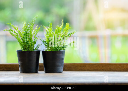 Un vaso di legno è collocato su un pavimento di legno verde omologo di sfondo Foto Stock
