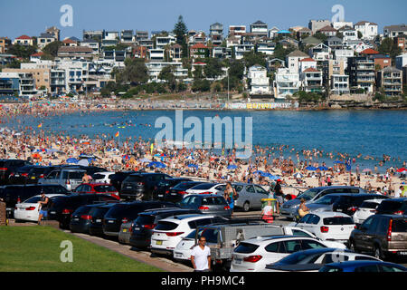 Dicembre 30, 2017: temperature oltre i 35 gradi Celsius tirare di masse di persone per la città affollate spiagge di Sydney, qui la spiaggia di Bondi, Sydney, Austral Foto Stock