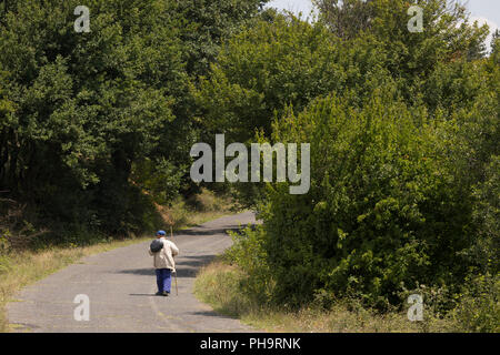 Lonesome uomo con un bastone ed il sacco sulla sua spalla a piedi una strada di montagna durante la giornata di caldo in estate, Bulgaria Foto Stock