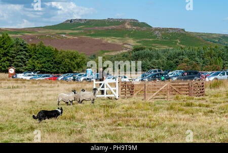 La famosa in tutto il mondo Longshaw Sheep Dog prove - Il Peak District, Derbyshire, Regno Unito Foto Stock