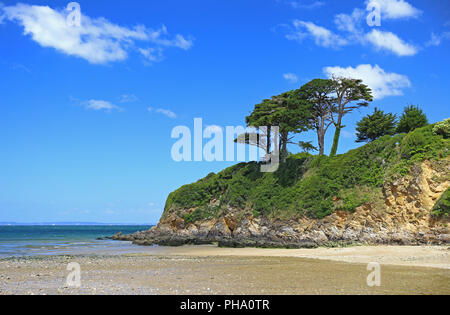 Costa in Bretagna, Francia Foto Stock