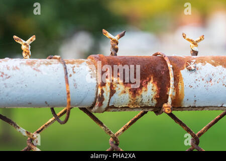 Una particolare sezione arrugginito di un arrugginito catena collegamento recinto Foto Stock