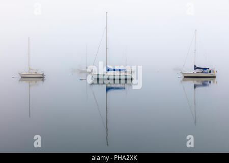 Una nebbiosa mattina inverno coprire le navi a vela ormeggiata in un porto di New York Foto Stock