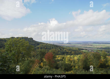 Foresta Vicino a Waldenburg, Baden-Wuerttemberg,Germania Foto Stock