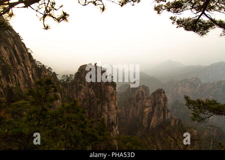 Monkey guardando il mare in Huang Shan, Cina Foto Stock