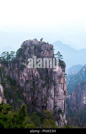 Monkey guardando il mare in Huang Shan, Cina Foto Stock