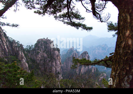 Monkey guardando il mare in Huang Shan, Cina Foto Stock