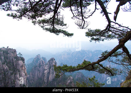 Monkey guardando il mare in Huang Shan, Cina Foto Stock