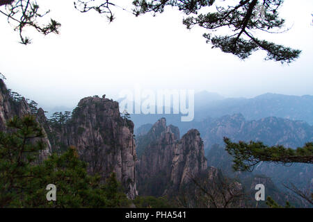 Monkey guardando il mare in Huang Shan Foto Stock