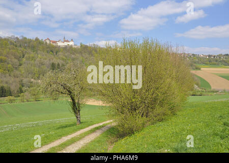 Castello Langenburg nella valle Jagst, Germania Foto Stock