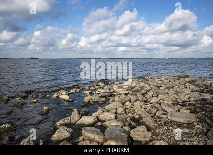 Lago Steinhuder Meer, Germania Foto Stock