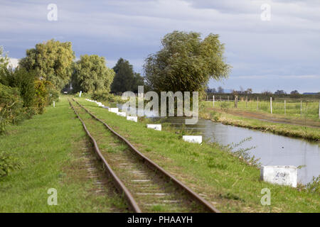 Hortobágy-Nationalpark, Puszta, Ungheria Foto Stock