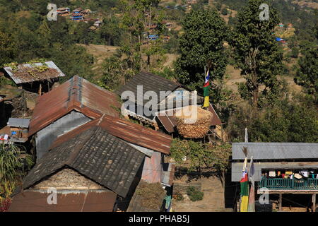 Il mais memorizzato nella parte anteriore di una casa colonica in Nepal Foto Stock