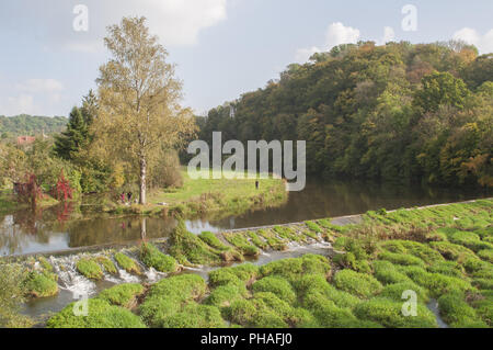 Stream weir nella valle Jagst vicino a Kirchberg, Germania Foto Stock