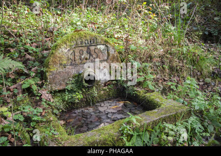 Acqua storico ben nei boschi intorno a Mainhardt, Germania Foto Stock