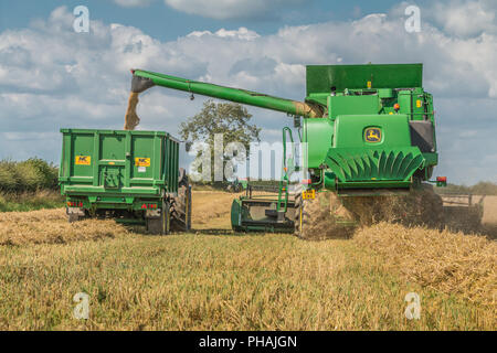 Un John Deere mietitrebbia Hillmaster al lavoro lo scarico di raccolto dell'orzo primaverile in un rimorchio Foto Stock