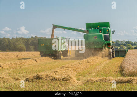 Un John Deere mietitrebbia Hillmaster al lavoro lo scarico di raccolto dell'orzo primaverile in un rimorchio Foto Stock