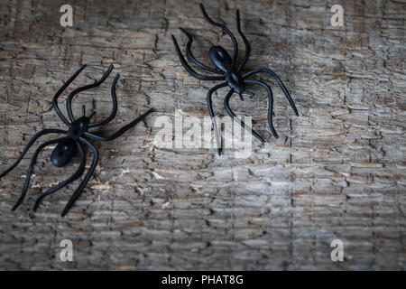 Ragni di Halloween isolato su sfondo di legno, tonica Foto Stock