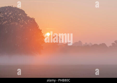 Northampton. U.K. Meteo. 1 settembre 2018. Il sorgere del sole anche se la mattina presto la nebbia in Abington Park il primo giorno del mese che mostra l'autunno si sta avvicinando velocemente. Credito: Keith J Smith./Alamy Live News Foto Stock