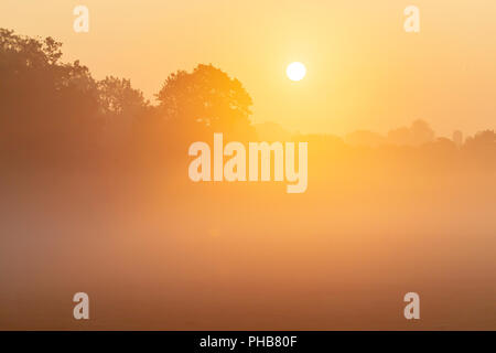 Northampton. U.K. Meteo. 1 settembre 2018. Il sorgere del sole anche se la mattina presto la nebbia in Abington Park il primo giorno del mese che mostra l'autunno si sta avvicinando velocemente. Credito: Keith J Smith./Alamy Live News Foto Stock