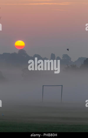 Northampton. U.K. Meteo. 1 settembre 2018. Il sorgere del sole anche se la mattina presto la nebbia in Abington Park il primo giorno del mese che mostra l'autunno si sta avvicinando velocemente. Credito: Keith J Smith./Alamy Live News Foto Stock