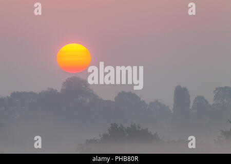 Northampton. U.K. Meteo. 1 settembre 2018. Il sorgere del sole anche se la mattina presto la nebbia in Abington Park il primo giorno del mese che mostra l'autunno si sta avvicinando velocemente. Credito: Keith J Smith./Alamy Live News Foto Stock