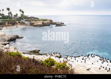 La Jolla Cove sulla costa della California del sud Foto Stock