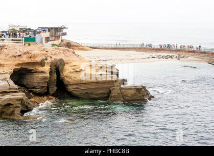 I turisti la visualizzazione delle guarnizioni del Porto a casa Spiaggia, noto anche come la piscina per i bambini, a La Jolla California Foto Stock