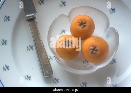 Nespole del Giappone frutti (Eriobotrya japonica) in una ciotola di vetro Foto Stock