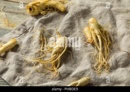 Raw sano organico di radice di ginseng pronto per l'uso Foto Stock