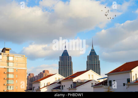 Gli uccelli di Shanghai Foto Stock