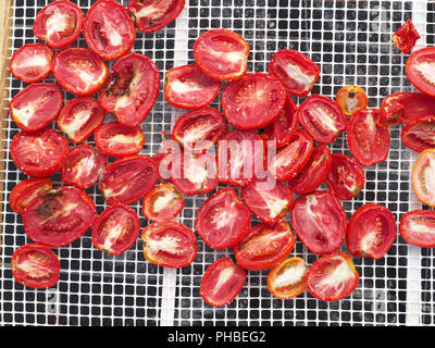 La realizzazione di "Pummaroru Siccu", tradizionale pomodoro essiccato molto popolari e tradizionali in Sicilia e in Italia. Foto Stock