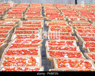 La realizzazione di "Pummaroru Siccu", tradizionale pomodoro essiccato molto popolari e tradizionali in Sicilia e in Italia. Foto Stock