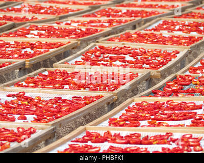 La realizzazione di "Pummaroru Siccu", tradizionale pomodoro essiccato molto popolari e tradizionali in Sicilia e in Italia. Foto Stock