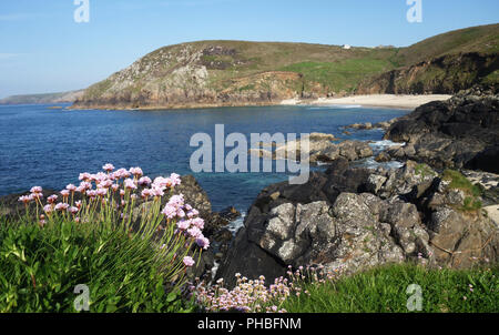 Portheras Cove, uno di Inghilterra del spiagge selvagge, West Penwith, Cornwall, England, Regno Unito, Europa Foto Stock