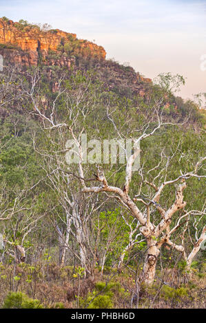 Nourlangie Rock, Australia Foto Stock