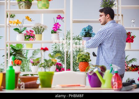 Giovane uomo fioraio lavora in un negozio di fiori Foto Stock