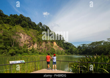 Vista posteriore della coppia caucasica in piedi sul ponte di osservazione della piattaforma che guarda la collina di Bukit Timah e gli uccelli selvatici della cava di Singapore. Foto Stock