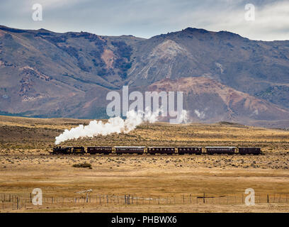 Vecchio nasello di Patagonia Express La Trochita, treno a vapore, Chubut Provincia, Patagonia, Argentina, Sud America Foto Stock