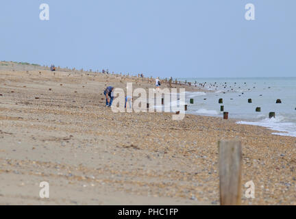 Padre e figlio beachcombing a bassa marea, East Preston beach, West Sussex, Regno Unito Foto Stock