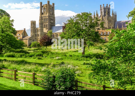 Vista della storica Cattedrale di Ely da Cherry Hill Park in estate, Ely, Cambridgeshire, Inghilterra Foto Stock