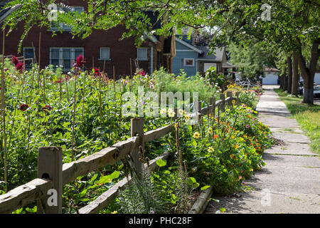 Detroit, Michigan - Detroit Abloom, un'organizzazione no-profit di fiori da taglio farm creato sul terreno vacante nel quartiere Jefferson-Chalmers. La città ha più di Foto Stock