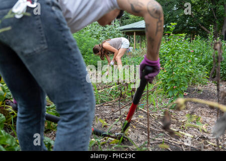 Detroit, Michigan - Donne tirare le erbacce a Detroit Abloom, un'organizzazione no-profit di fiori da taglio farm creato sul terreno vacante nel quartiere Jefferson-Chalmers. Il Foto Stock