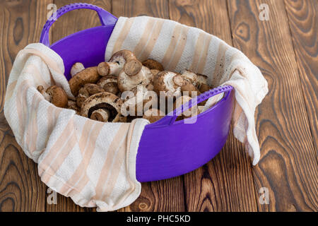 Viola la coppa di plastica riempito di lava fresca materie Baby Bella di funghi in un panno in una vista laterale su una tavola in legno rustico Foto Stock