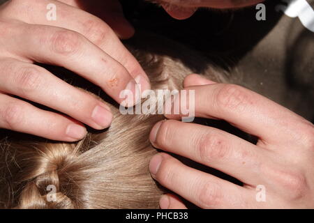 Pidocchi della testa infezione comune nei giovani. Capelli essendo controllato utilizzando una speciale testa i pidocchi pettine. Foto Stock