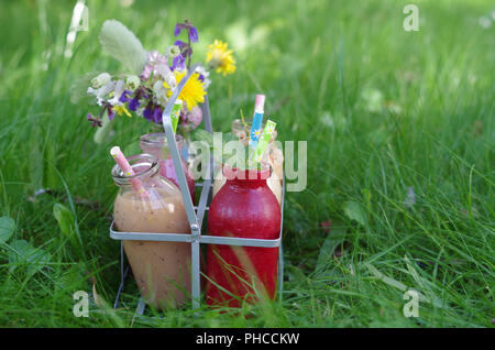Diversi tipi di frutta frullati in pallone Foto Stock