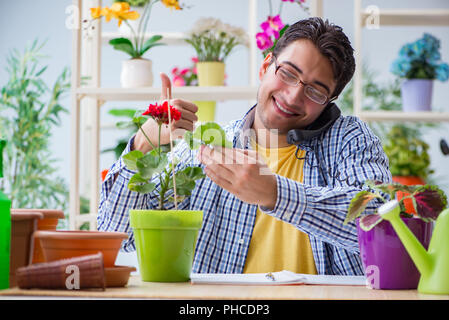 Giovane uomo fioraio lavora in un negozio di fiori Foto Stock