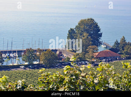 Marina Haltnau presso il lago di Costanza vicino a Meersburg Foto Stock